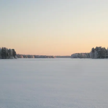 Rinnepelto 6828 Tahkovuori